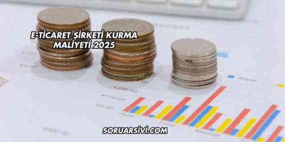 E-Ticaret Şirketi Kurma Maliyeti 2025