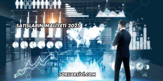 Satışların Maliyeti 2025