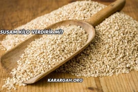 Susam Kilo Verdirir mi?