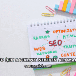 SEO İçin Backlink Nereden Alınmalı?